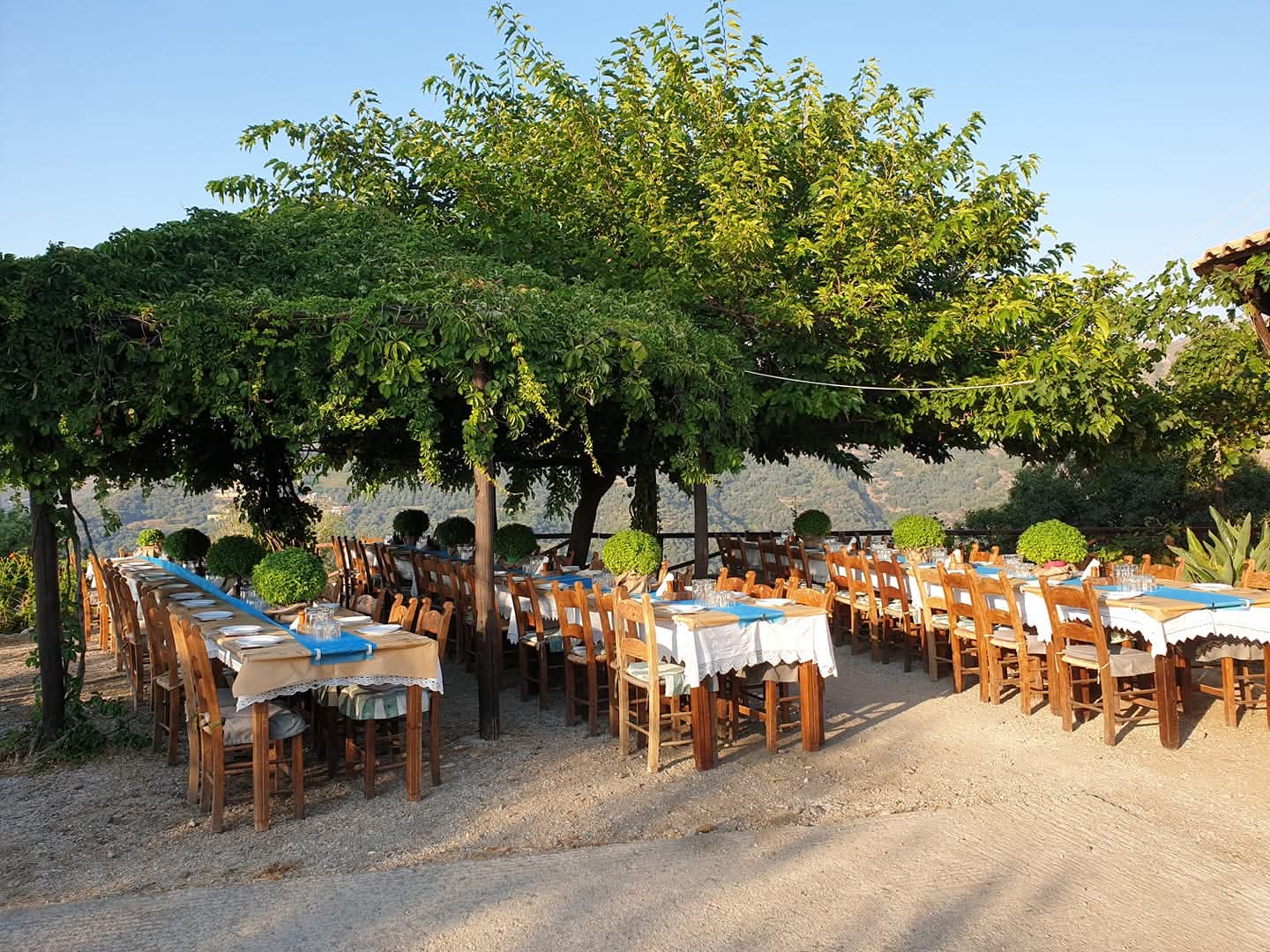 Cretan Experience