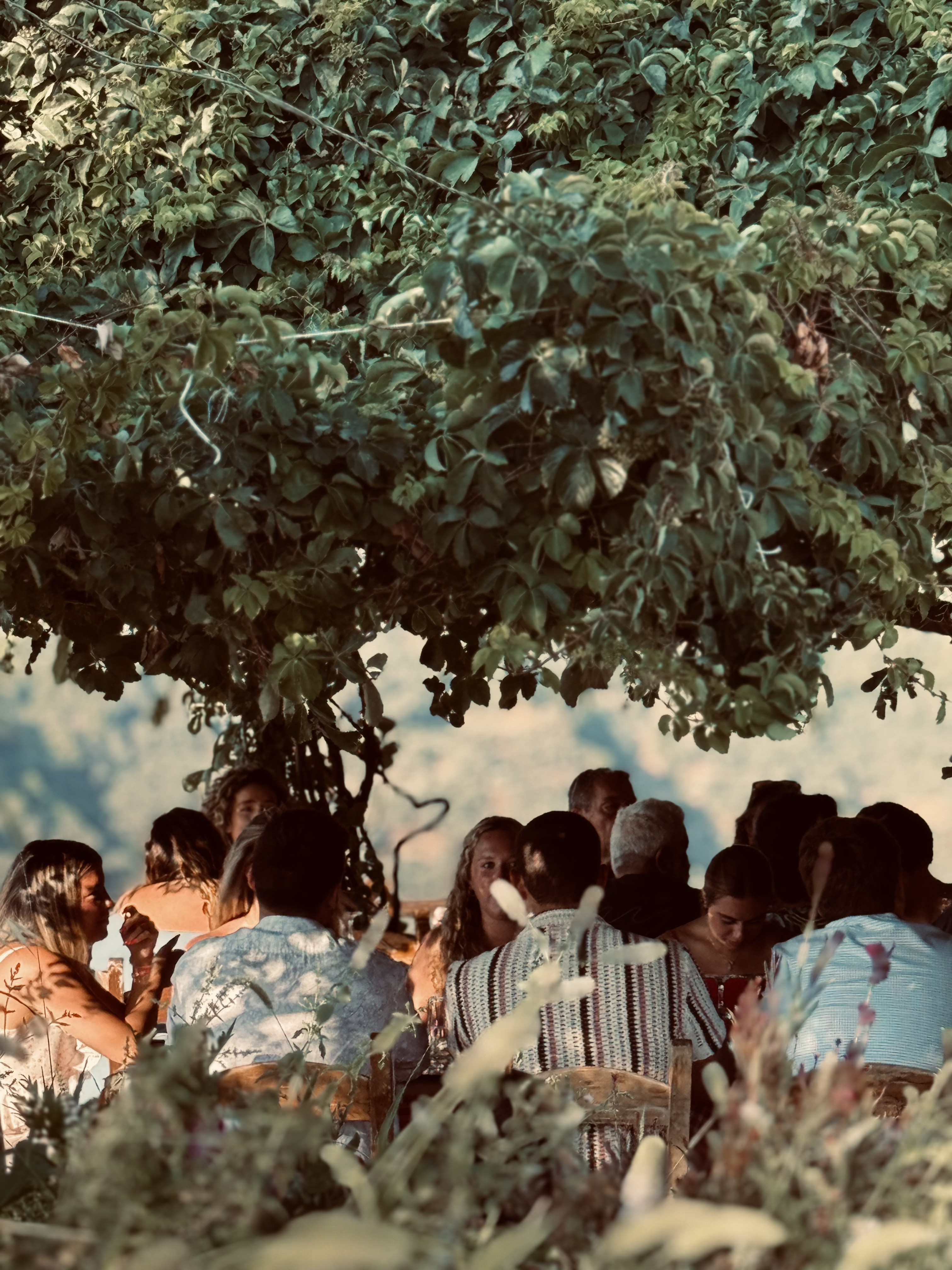 Group Gathering